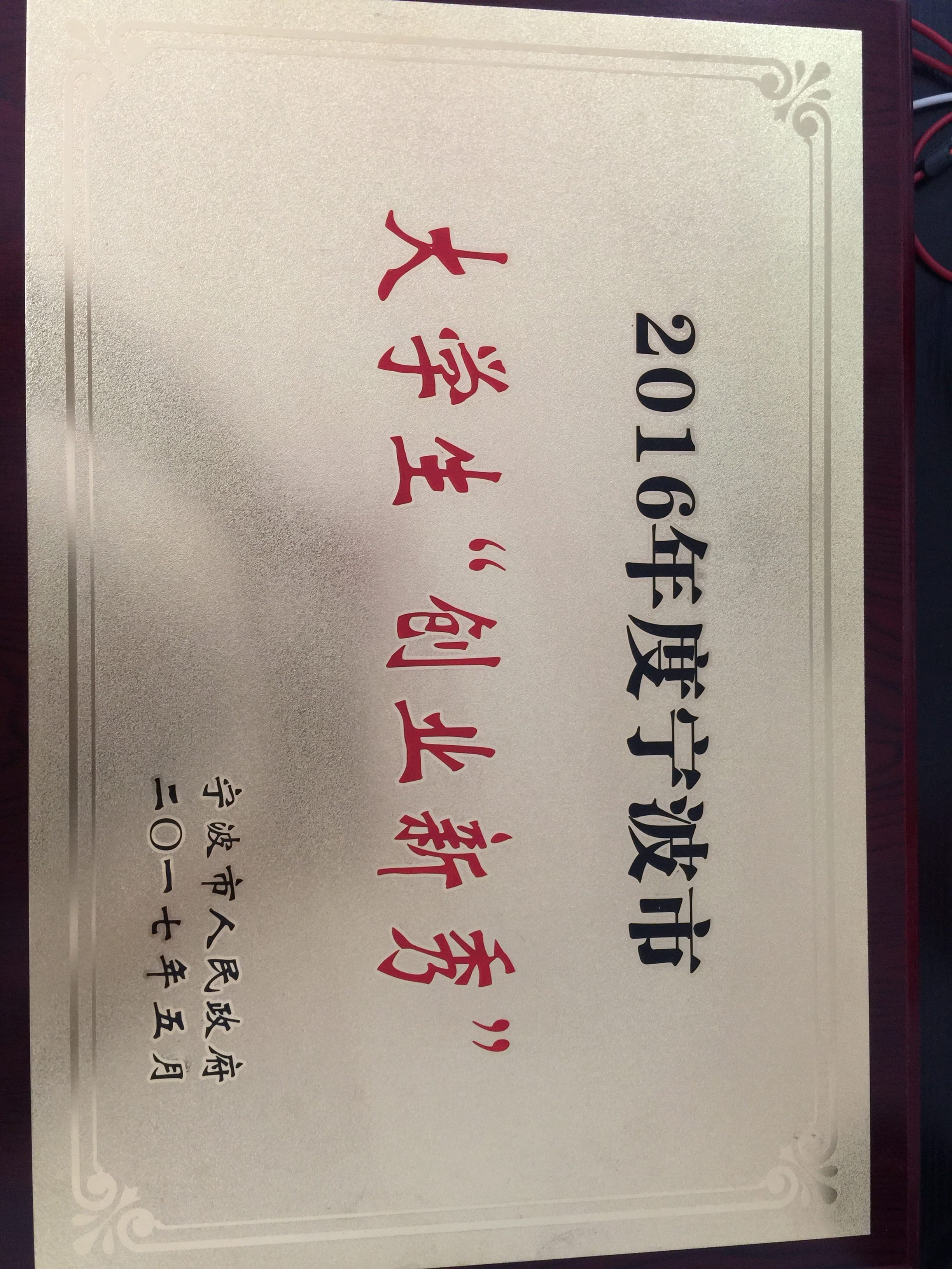 2016大学生创业新秀证书