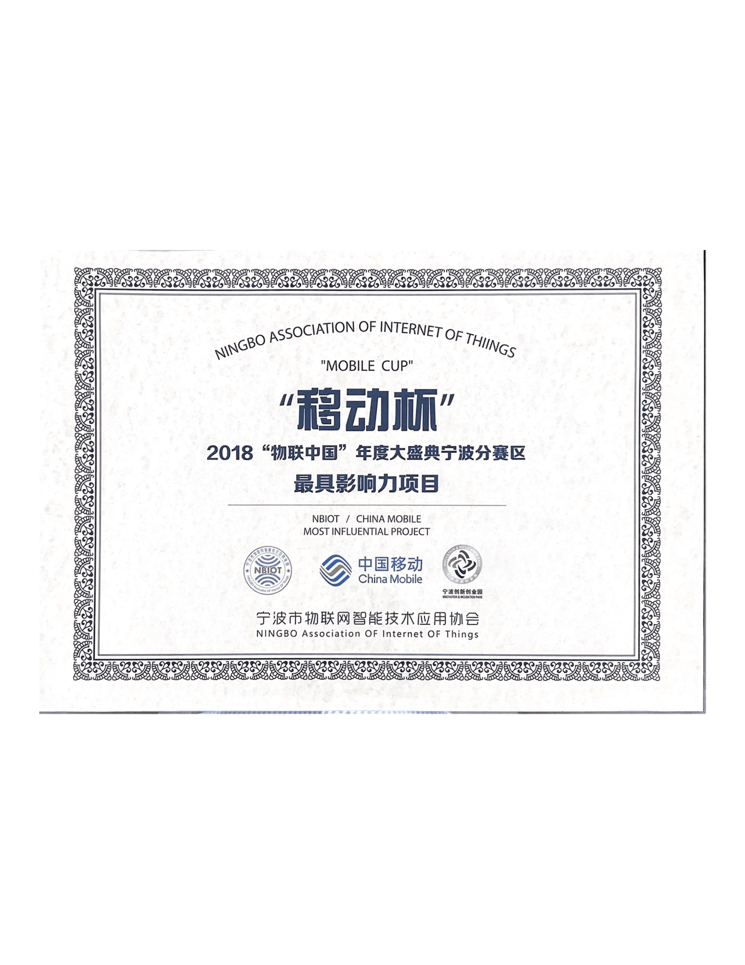 2018最具影响力项目证书