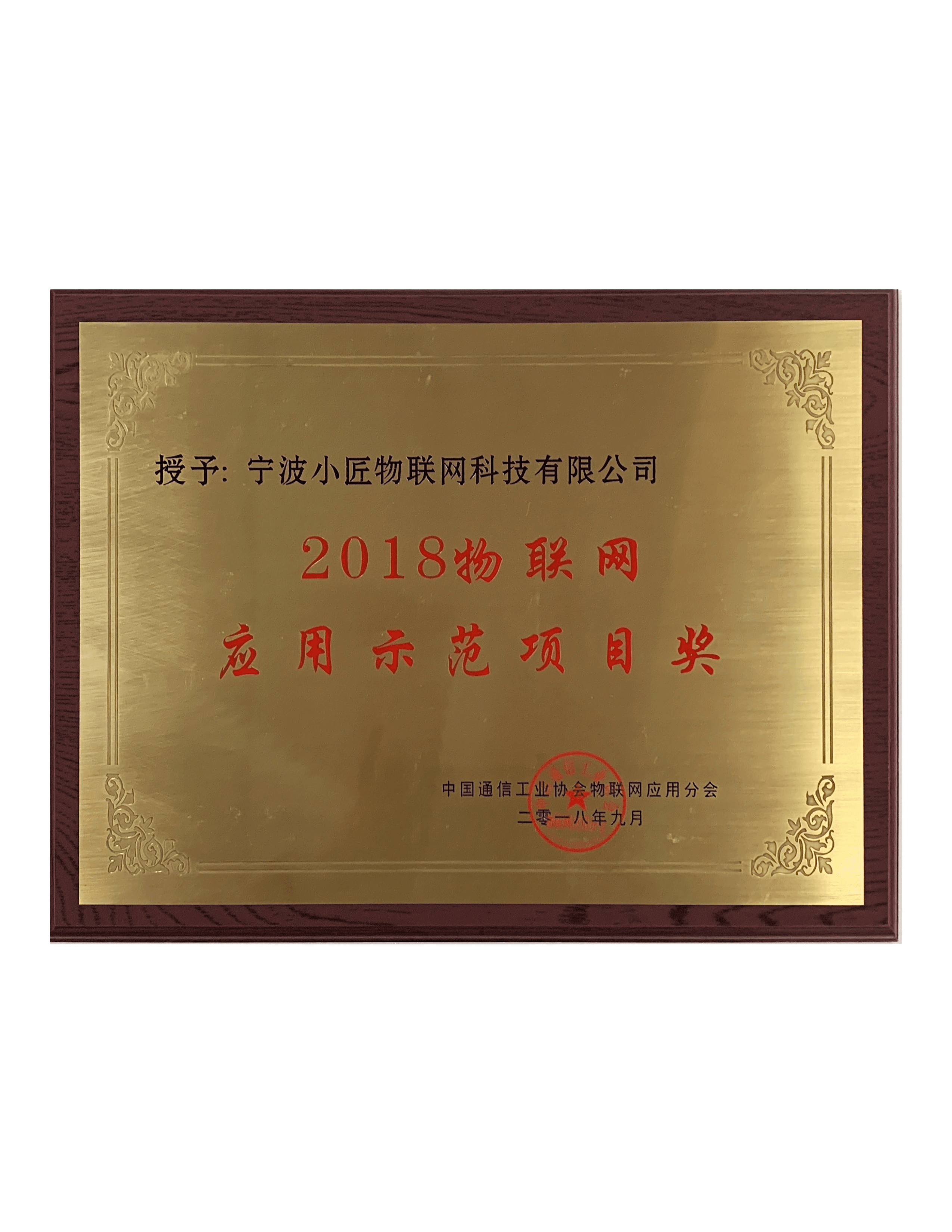 2018物联网应用示范项目奖证书