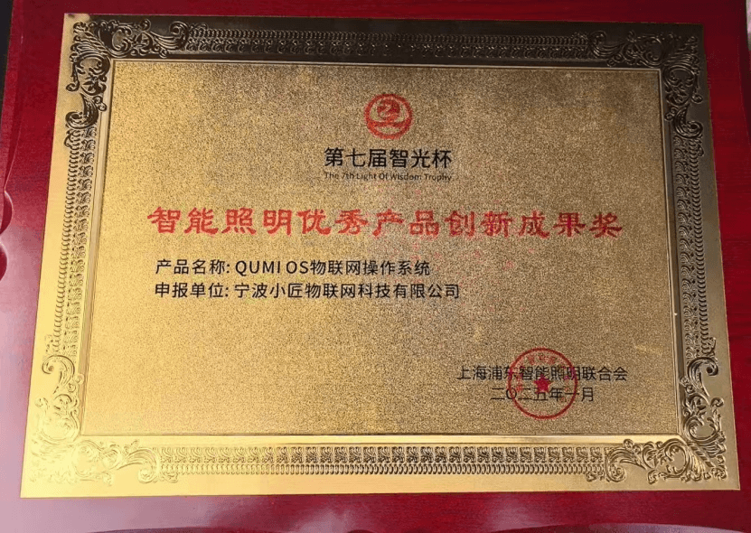2025智能照明优秀产品创新成果奖证书